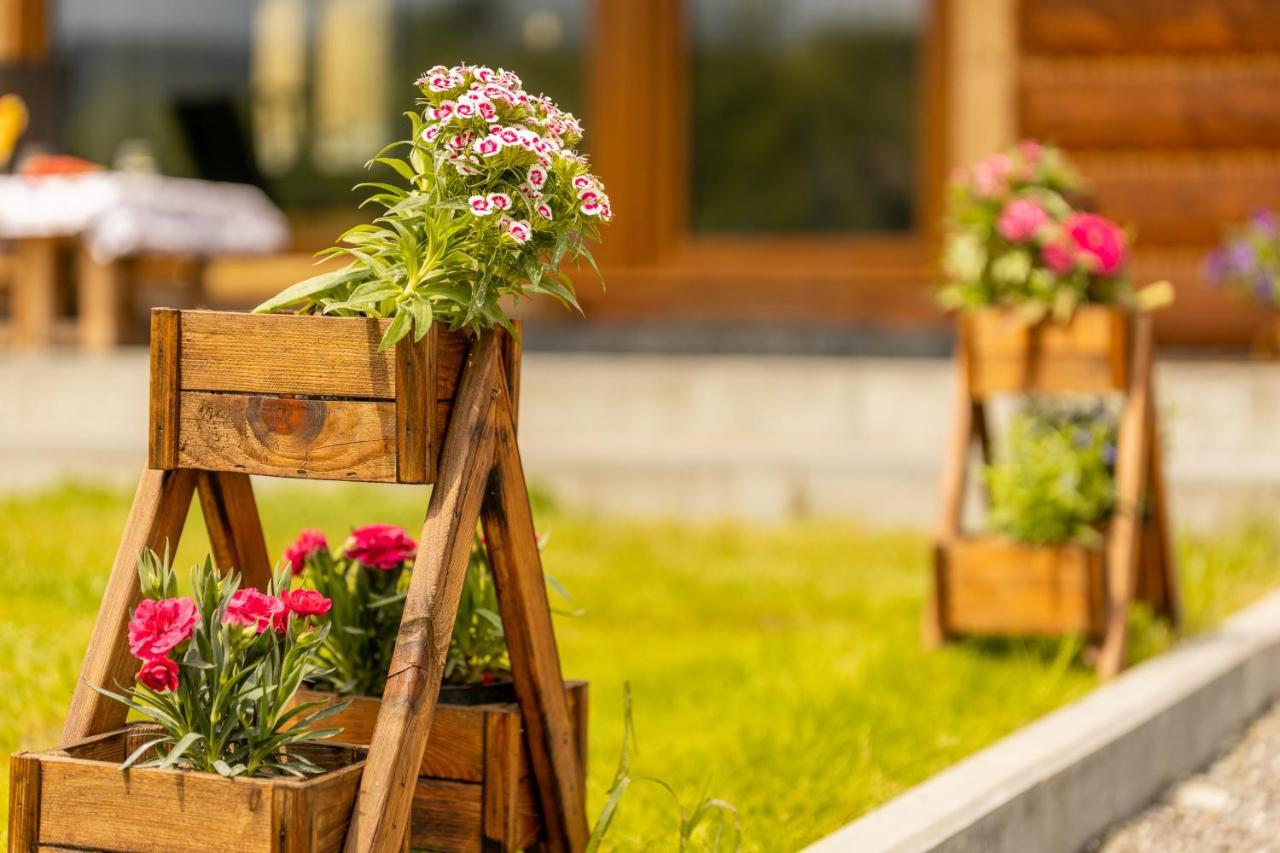Odskocznia - Balia, Sauna Wisła